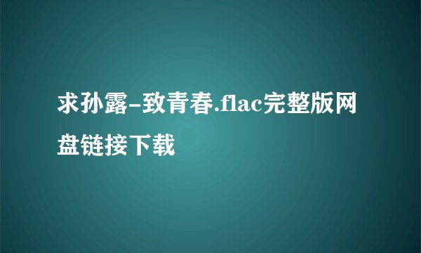 求孙露-致青春.flac完整版网盘链接下载