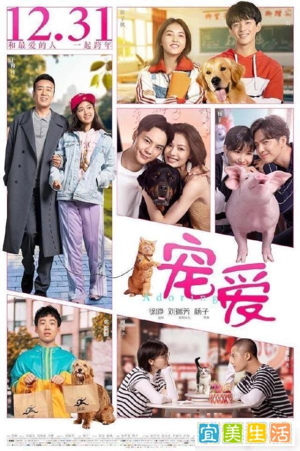 《宠爱》票房破4亿，让人落泪的拼盘电影，你看了吗？