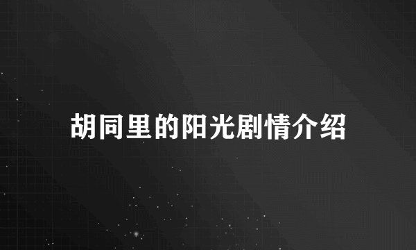 胡同里的阳光剧情介绍