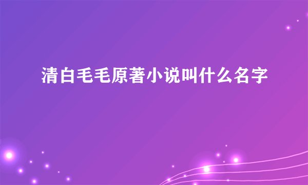 清白毛毛原著小说叫什么名字