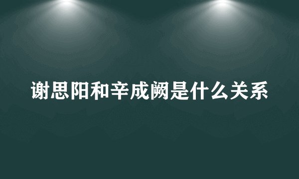 谢思阳和辛成阙是什么关系