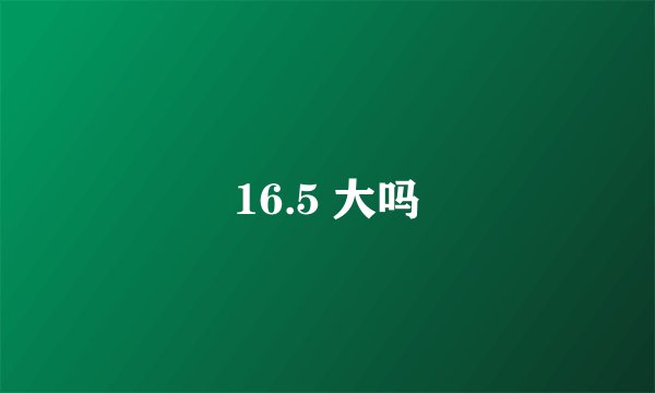 16.5 大吗