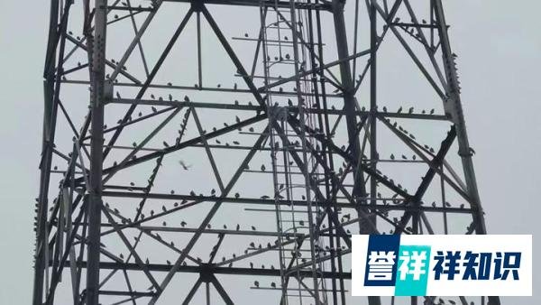 2024年南方电网笔试是怎么考的？