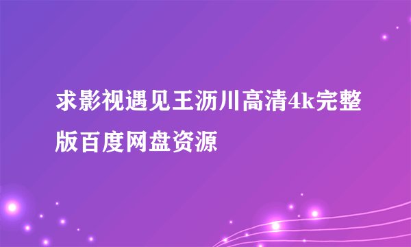 求影视遇见王沥川高清4k完整版百度网盘资源