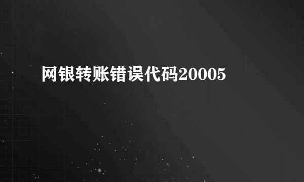 网银转账错误代码20005