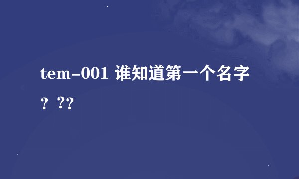 tem-001 谁知道第一个名字？?？