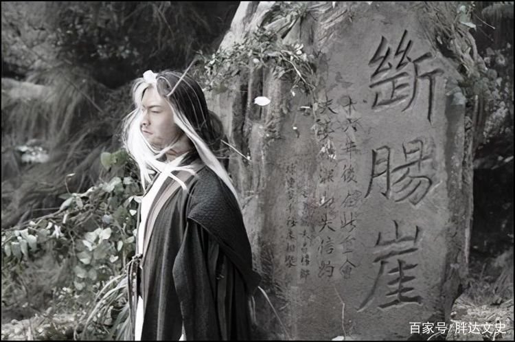 《神雕侠侣》出现过百草仙、人厨子等高手吗？