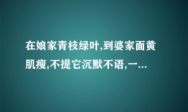 在娘家青枝绿叶,到婆家面黄肌瘦,不提它沉默不语,一提它泪如雨下。谜语...
