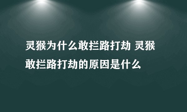 灵猴为什么敢拦路打劫 灵猴敢拦路打劫的原因是什么