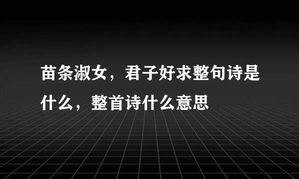 苗条淑女,君子好求整句诗是什么,整首诗什么意思