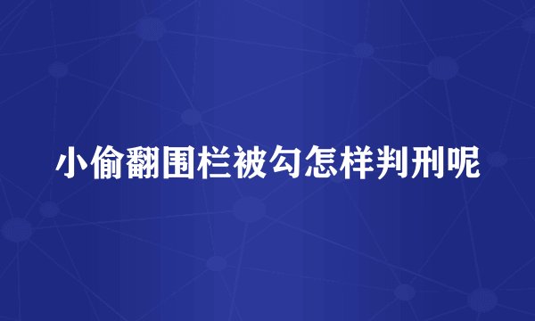 小偷翻围栏被勾怎样判刑呢