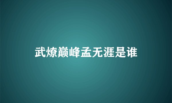 武燎巅峰孟无涯是谁