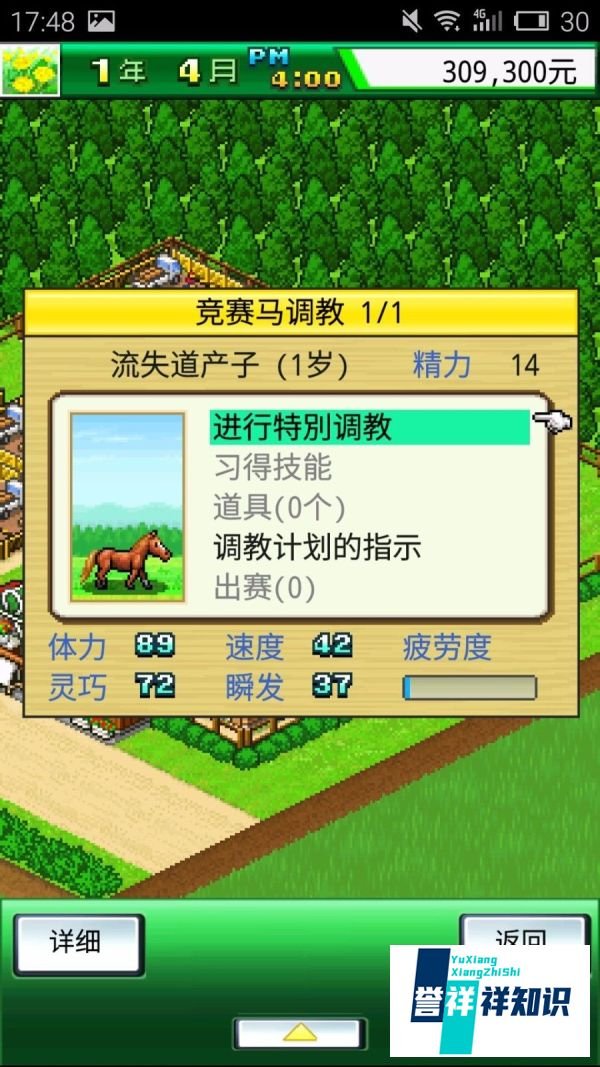 顶级跑马牧场游戏攻略