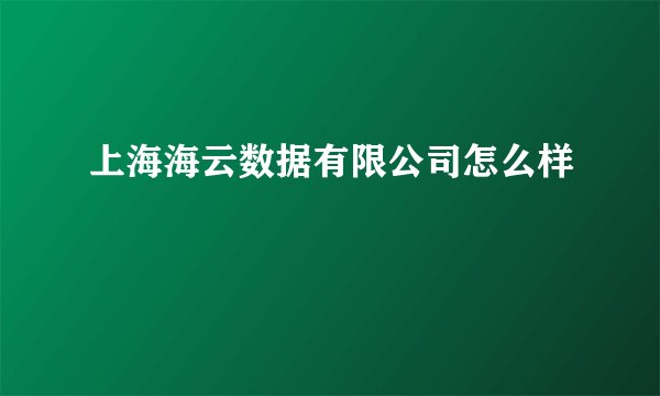 上海海云数据有限公司怎么样