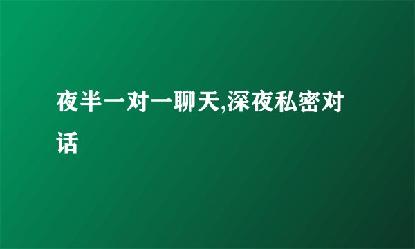 夜半一对一聊天,深夜私密对话
