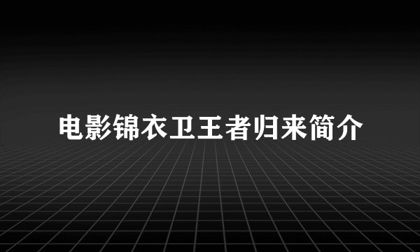 电影锦衣卫王者归来简介