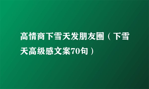 高情商下雪天发朋友圈（下雪天高级感文案70句）