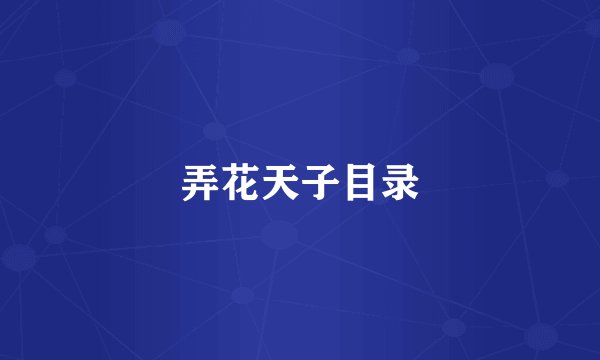 弄花天子目录