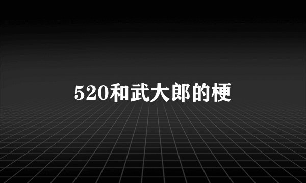 520和武大郎的梗