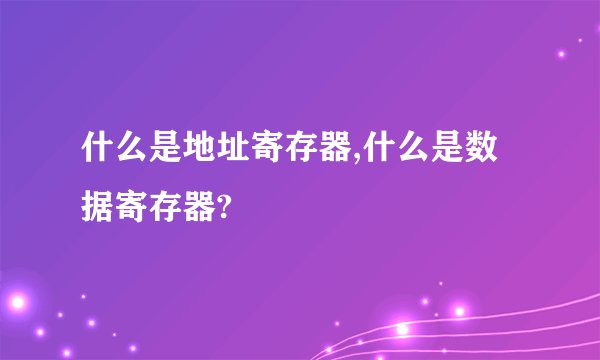 什么是地址寄存器,什么是数据寄存器?