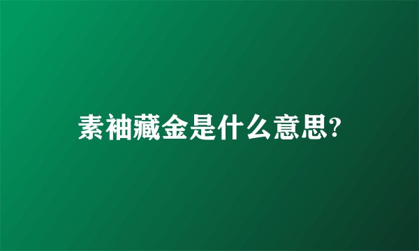 素袖藏金是什么意思?