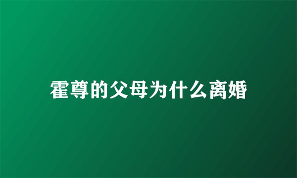 霍尊的父母为什么离婚