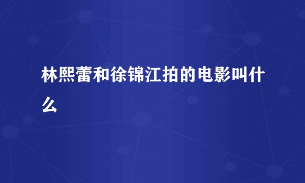 林熙蕾和徐锦江拍的电影叫什么
