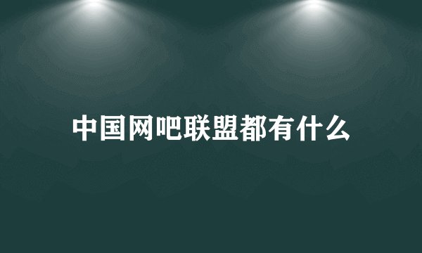中国网吧联盟都有什么