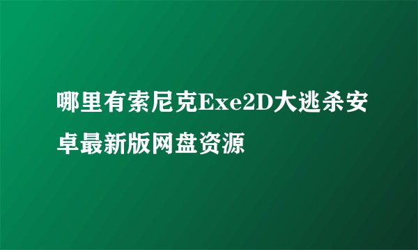 哪里有索尼克Exe2D大逃杀安卓最新版网盘资源