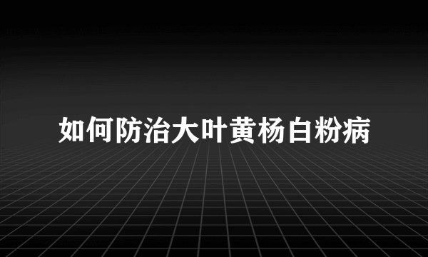 如何防治大叶黄杨白粉病