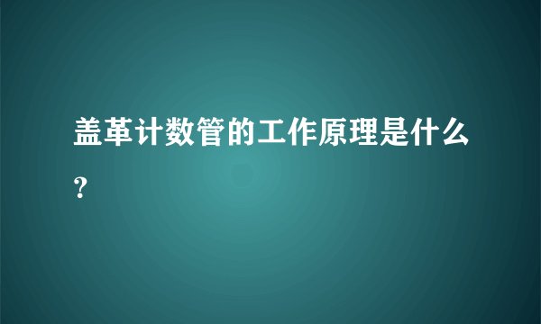 盖革计数管的工作原理是什么？