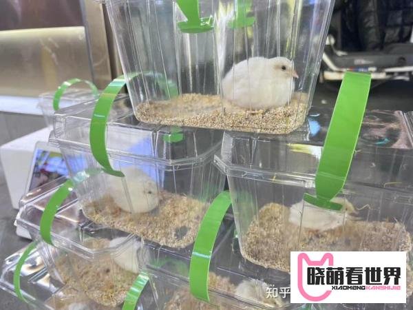轻资产创业项目排行榜前十名,门槛低利润高,普通人都可做