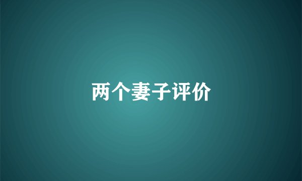 两个妻子评价