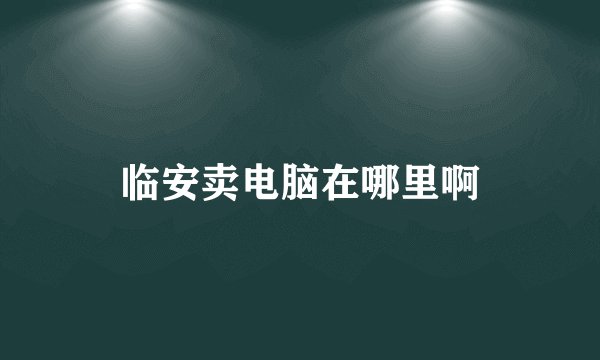 临安卖电脑在哪里啊
