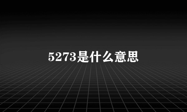 5273是什么意思