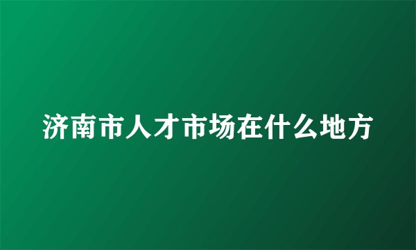 济南市人才市场在什么地方