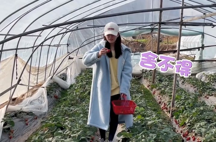 赵露思脱鞋吃草莓,谁看到她袜子的颜色了?网友直呼:“确定这是女明星?”