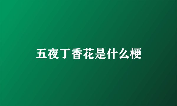五夜丁香花是什么梗