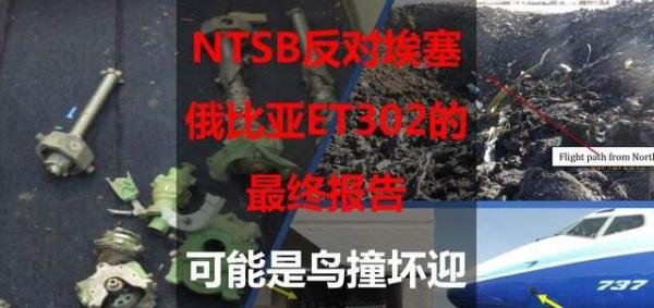NTSB反对埃塞俄比亚ET302的最终报告：可能是鸟撞坏迎角传感器！