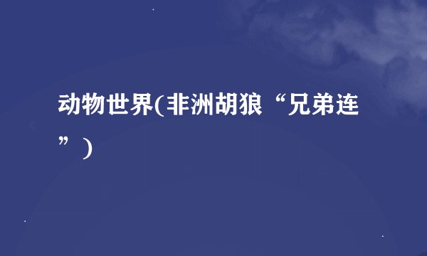 动物世界(非洲胡狼“兄弟连”)