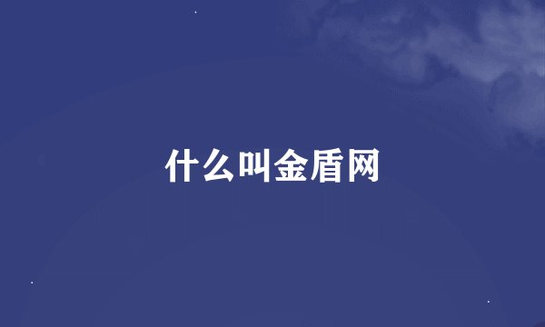 什么叫金盾网