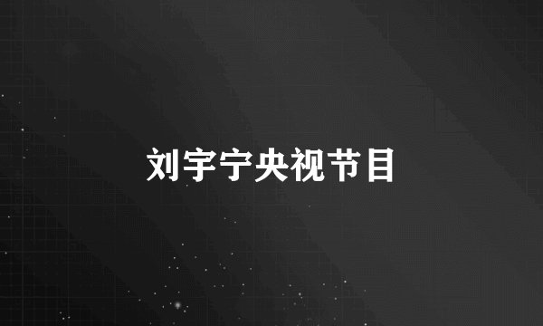 刘宇宁央视节目