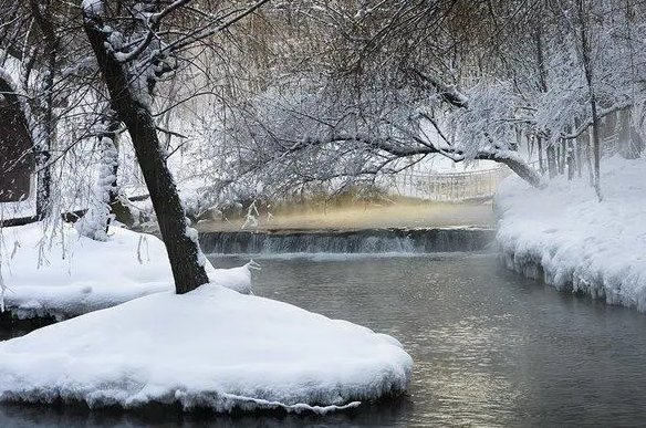 雪中即景是什么意思