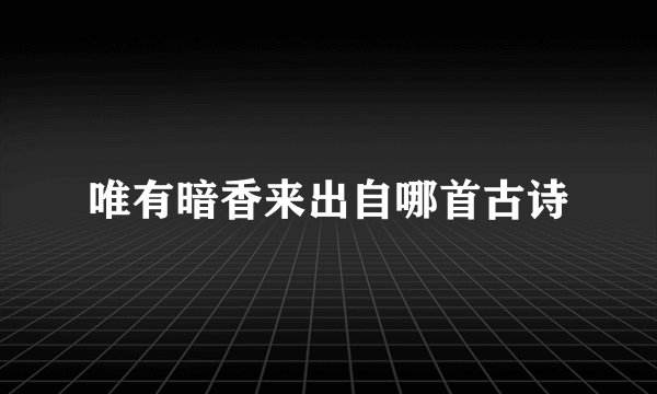唯有暗香来出自哪首古诗