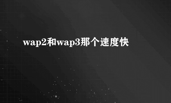 wap2和wap3那个速度快