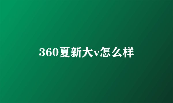 360夏新大v怎么样
