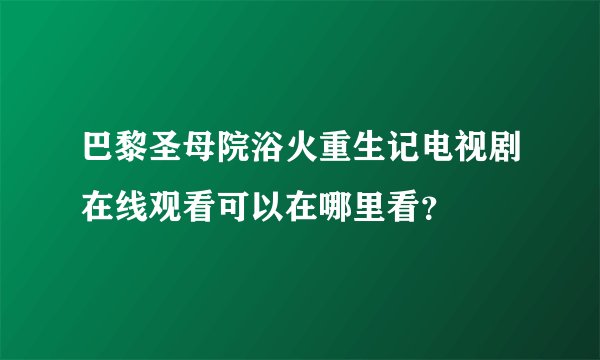 巴黎圣母院浴火重生记电视剧在线观看可以在哪里看？