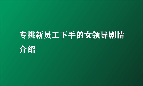 专挑新员工下手的女领导剧情介绍