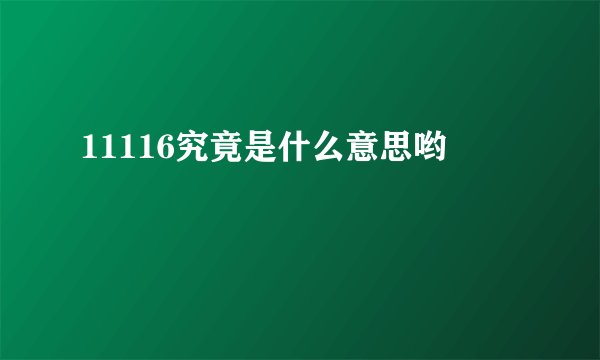 11116究竟是什么意思哟