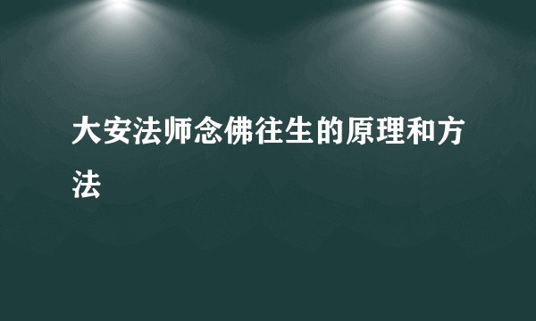 大安法师念佛往生的原理和方法